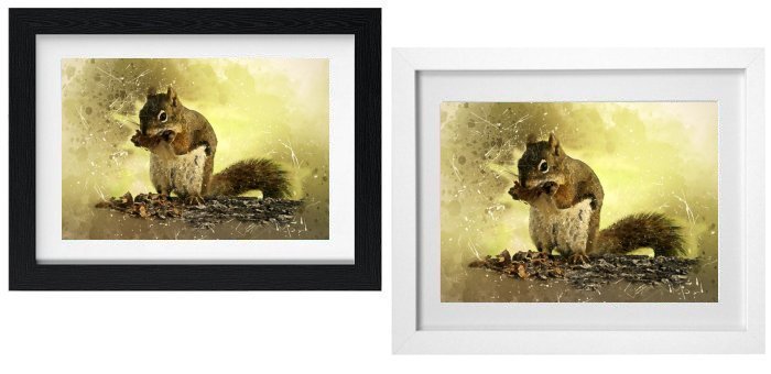 Select Your Frame